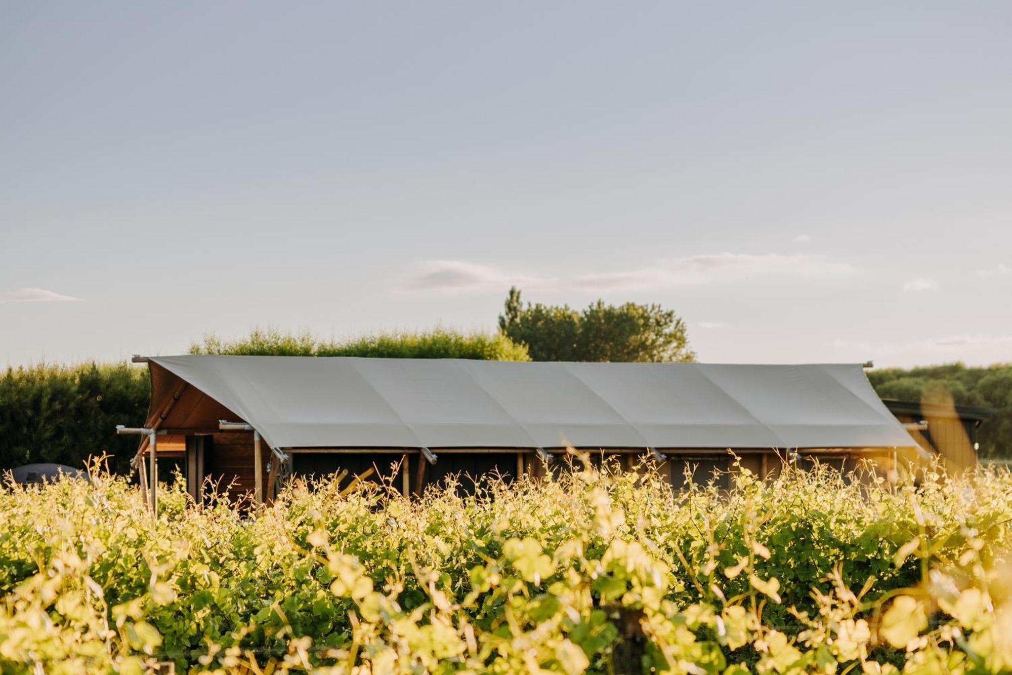 Villas & Vines Glamping Hastings Exteriör bild