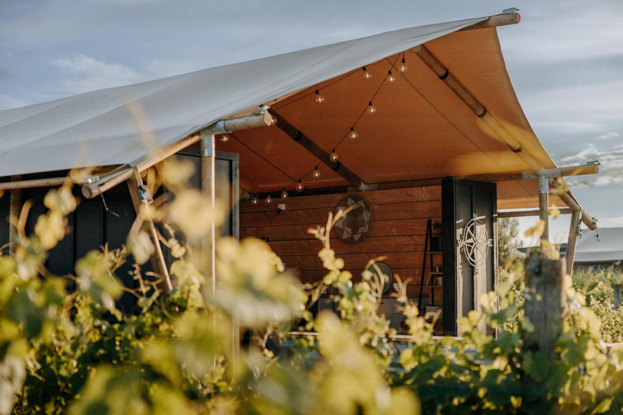 Villas & Vines Glamping Hastings Exteriör bild