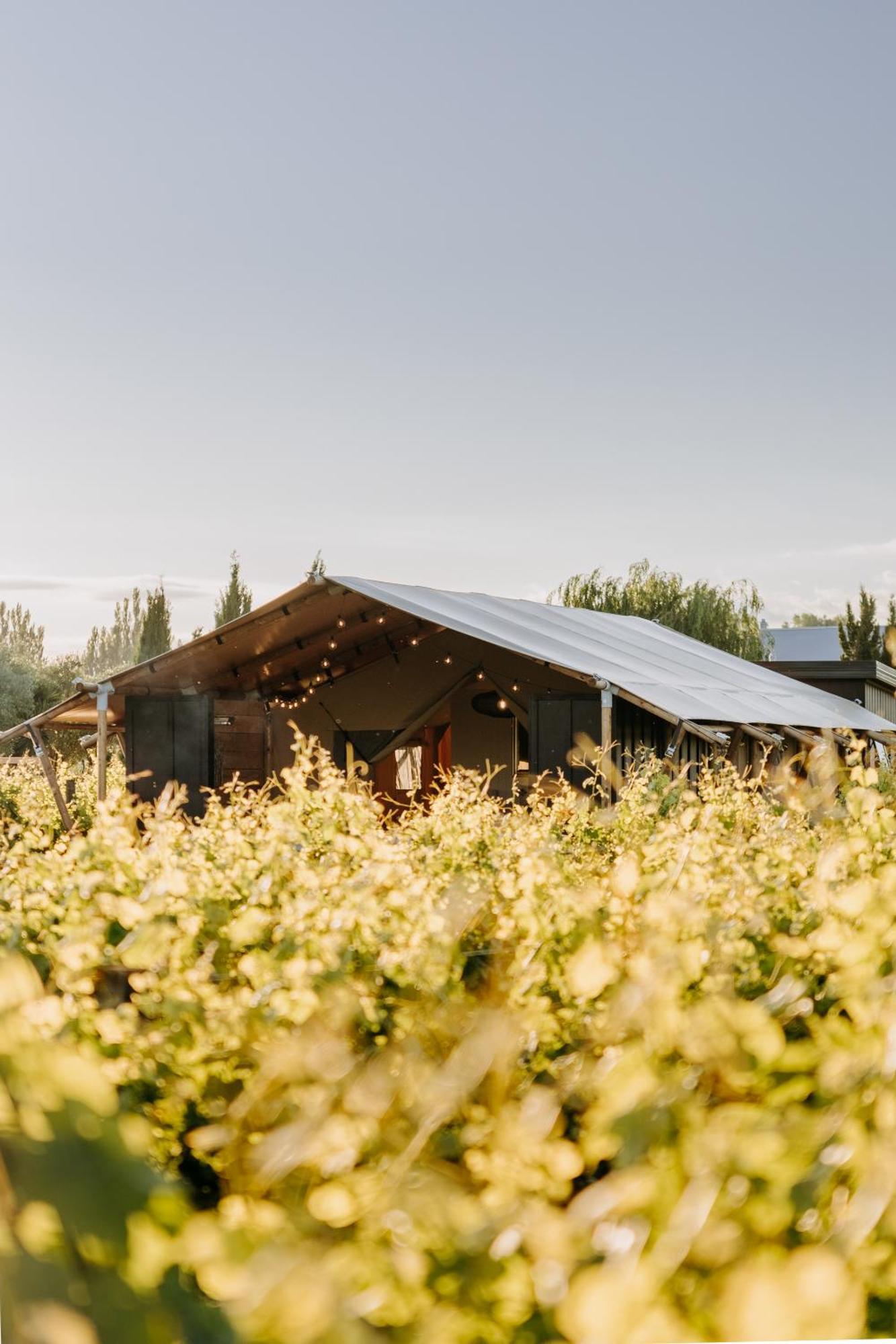 Villas & Vines Glamping Hastings Exteriör bild